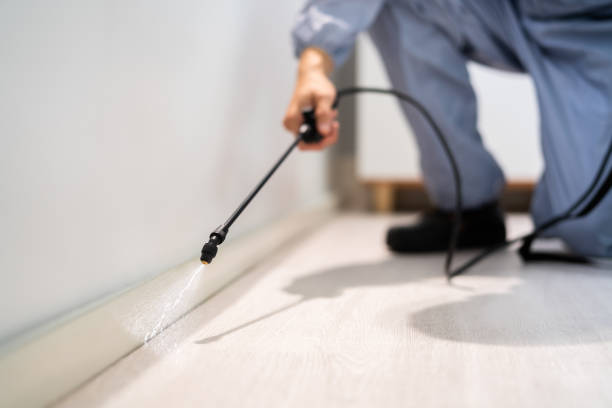 Licensed Cockroach Control service in Lookout Mountain, GA - Nex Pest Control