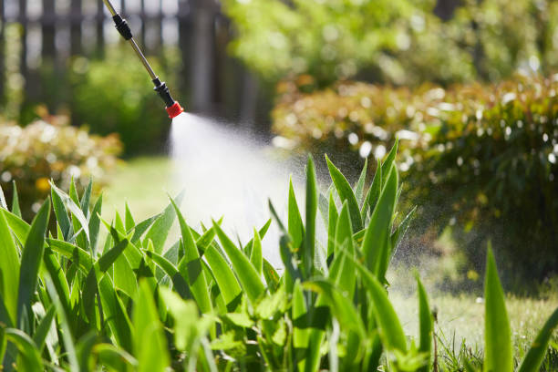 24/7 Emergency Cockroach Control experts in Lookout Mountain, GA